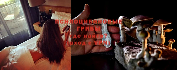 ешки Алексеевка