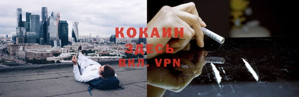 ешки Алексеевка