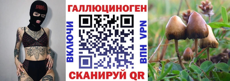 что такое наркотик  Боготол  Псилоцибиновые грибы GOLDEN TEACHER 